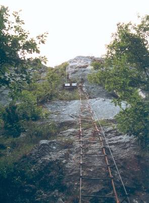 Via dell'Amicizia