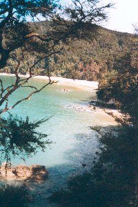 Abel Tasman
