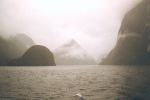 Doubtful Sound