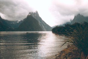 Milford Sound