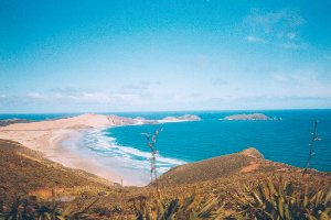 beim Cape Reinga