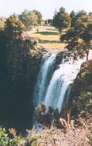 Whangarei Falls