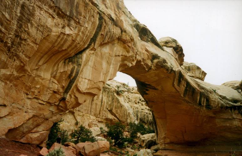 Hickman Bridge, Capitol Reef