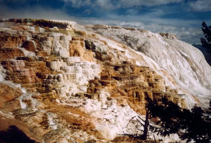 Yellowstone